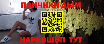 гидра Нальчик
