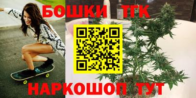 гидра Нальчик